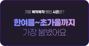 탈모성지 대다모 2024 연말 총결산 | 대한민국 1등 탈모 커뮤니티 대다모