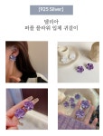 델리아 [당일 출고][925 Silver] 퍼플 플라워 입체 귀걸이 러블리 보라색 우아한 고급스러운 하이엔드 스트릿 가을 빅 사이즈 이어링