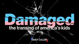 The Daily Caller