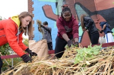 » Young generation no slouches at volunteering Young generation no slouches at volunteering