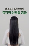 이뿌내뷰티랩 | [다슈]데일리 리페어 헤어 에센스 100ml [W CONCEPT]