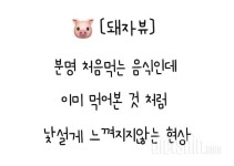 커뮤니티 - 자유게시판 - 돼자뷰 - 다이어트신 다이어트신 - 다신 살찌지 말자