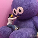비포&애프터 - 66>>55 한달만에 10키로 감량변화 - 다이어트신 다이어트신 - 다신 살찌지 말자