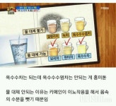 커뮤니티 - 팁&노하우 - 물 대용 차, 물 대신 마실 수 있는 차 - 다이어트신 다이어트신 - 다신 살찌지 말자
