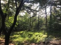 커뮤니티 - 운동 - 등등등! 산산산! - 다이어트신 다이어트신 - 다신 살찌지 말자