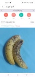 커뮤니티 - ⏰간헐적 단식 & 🥗1일 1샐러드 - 8월21일 - 다이어트신 다이어트신 - 다신 살찌지 말자