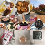 커뮤니티 - 🦕 하체 튼실 탈출하자(!) - 일요일 식운 월요일 공체 - 다이어트신 다이어트신 - 다신 살찌지 말자