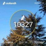 함께 도전해요 - 30일 만보 걷기 - 30일 만보 걷기 27일차 성공! - 다이어트신 다이어트신 - 다신 살찌지 말자