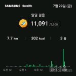 함께 도전해요 - 30일 만보 걷기 - 30일 만보 걷기33일차 성공! - 다이어트신 다이어트신 - 다신 살찌지 말자