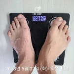 도전! 다이어트 신 - [다신 19기] 미션등록 - [다이어트 2일차] 체중+눈바디+식단+운동 - 다이어트신 다이어트신 - 다신 살찌지 말자