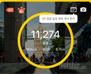 함께 도전해요 - 30일 만보 걷기 - 30일 만보 걷기10일차 성공! - 다이어트신 다이어트신 - 다신 살찌지 말자