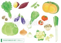 무료 클립 아트 : 야채, 야채 세트, 부드러운 터치, 계절의 야채, 붉은 야채 - 838020 | illustAC