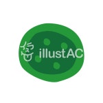 무료 클립 아트 : 바느질 셔츠 의류 버튼 양장점 - 732320 | illustAC