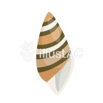 무료 클립 아트 : 조개 장식 모래 조가비 연안 - 630206 | illustAC