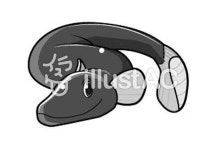 무료 클립 아트 : 장어 뱀장어 추악한 장어 구이 황소 - 481707 | illustAC