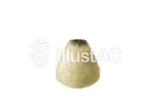 무료 클립 아트 : 뜨다 뜸 요법 수공 미용술 - 973972 | illustAC