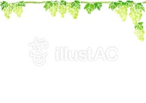 무료 클립 아트 : 포도 무스카트 과일 일러스트 수채화 - 873006 | illustAC