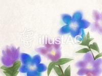 무료 클립 아트 : 용담 꽃 카드 프레임 류우탄 - 94450 | illustAC