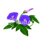 무료 클립 아트 : 나팔꽃 여름 방학 무료 연구 플라워 꽃밭이있는 잔디밭 - 325020 | illustAC