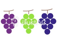 무료 클립 아트 : 포도 무스카트 귀여운 과일 삽화 - 572207 | illustAC