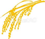 무료 벡터 실루엣: 벼, 벼 이삭, 이삭, 벼 이삭 b, 풍년, 여무 - 397432 | illustAC