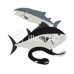 무료 클립 아트 : 생선 부리 참치 장어 브리 - 203641 | illustAC