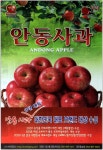 광고정보센터 PRINT광고 :: 안동사과