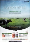 광고정보센터 PRINT광고 :: 초유원은 깐깐하다?