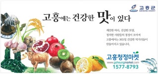 광고정보센터 PRINT광고 :: 고흥에는 건강한 맛이 있다