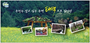 광고정보센터 PRINT광고 :: 우리는 살고 싶은 동네 태백으로 갑니다