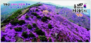 광고정보센터 PRINT광고 :: 강화군 고려산 진달래 축제