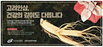 광고정보센터 PRINT광고 :: 고려인삼, 건강의 깊이도 다릅니다