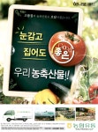 광고정보센터 PRINT광고 :: 눈감고 집어도 좋은 우리 농축산물!!