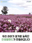 광고정보센터 PRINT광고 :: 우리 아이가 즐거운 농축산 안성팜랜드가