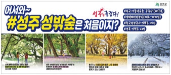 광고정보센터 PRINT광고 :: 어서와~ #성주 성밖숲은 처음이지?