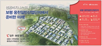 광고정보센터 PRINT광고 :: 성공비즈니스의키워드보령웅천일반산업단지