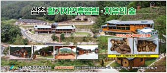 광고정보센터 PRINT광고 :: 삼척 활기자연휴양림