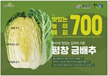 광고정보센터 PRINT광고 :: 아사삭! 맛있는 김치의 기준 평창 금배추