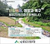 광고정보센터 PRINT광고 :: 횡성군산림조합이 함께합니다