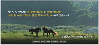 광고정보센터 PRINT광고 :: 말 산업 발전과 전북특별자치도 경제 활성화