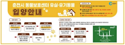 광고정보센터 PRINT광고 :: 춘천시 동물보호센터 유실ㆍ유기동물