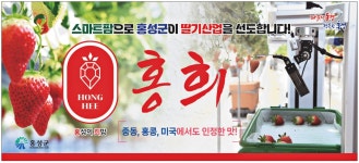 광고정보센터 PRINT광고 :: 스마트팜으로 홍성군이 딸기산업을 선도합니다!