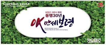 광고정보센터 PRINT광고 :: 보령군·대천시 통합 동행30년 OK 만세 보령