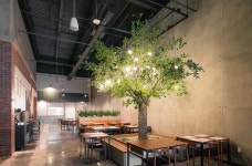 주방장/라인쿡/주방보조