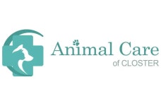 동물 병원에서 Receptionist & Assistant 모집 합니다.