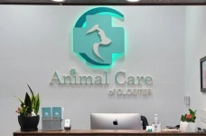 동물 병원에서 Receptionist & Assistant 모집 합니다.