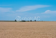 무료 사진 : 광대, 농지, 농장, 풍경, 농업 - 118335 | photoAC