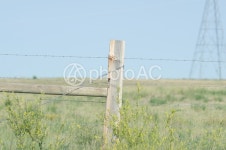 무료 사진 : 광대, 농지, 농장, 목장, 풍경 - 118045 | photoAC