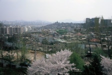 용산,후암동 | 서울연구데이터서비스
