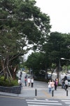 능동로 디자인거리 | 서울연구데이터서비스